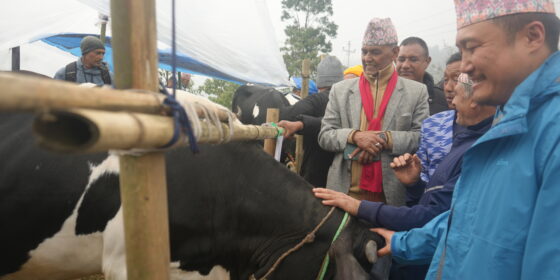 तस्बिरमा सुर्योदय नगरपालिका १० इलामको कृषि मेला (तस्बिरहरु) 