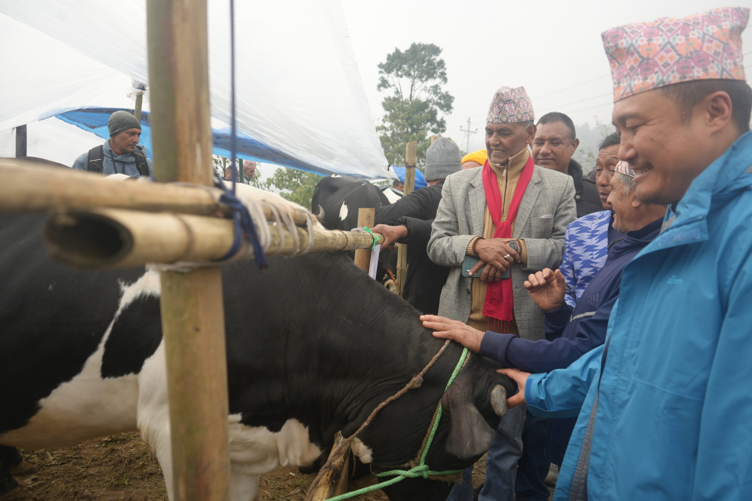 तस्बिरमा सुर्योदय नगरपालिका १० इलामको कृषि मेला (तस्बिरहरु) 