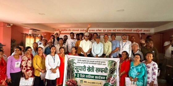 माई नगरपालिकामा दुई दिने व्यावसायिक सुपारी खेती तालिम सम्पन्न, उत्पादन र उत्पादकत्व वृद्धिमा जोड