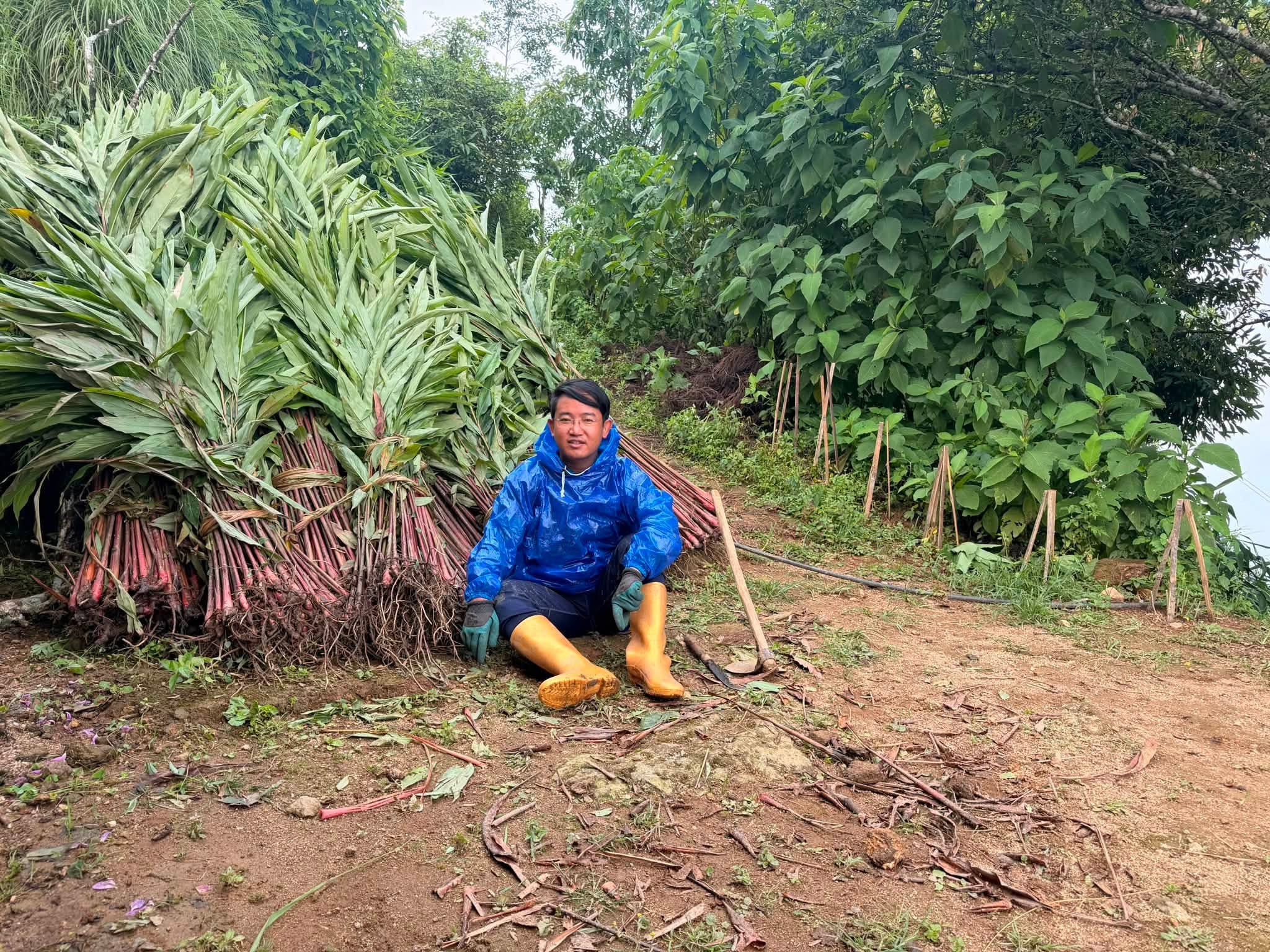 राजनीतिसँगै उत्पादनमा रास्वपा नेता मिलन लिम्बू, पुर्ख्यौली थलोमा अलैँची खेती सुरु