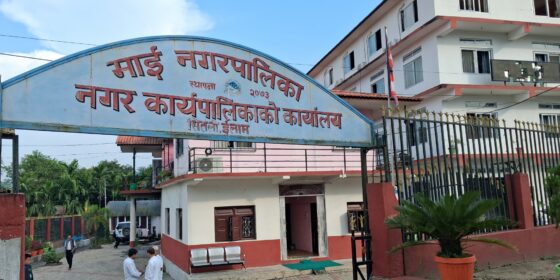 माई नगरपालिकाले बाढीपीडितका लागि १० लाख रुपैयाँ सहयोग गर्ने