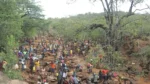 बाख्रा चराउने युवकले भेटेको तीन ग्राम सुनको डल्लोले जन्मायो ‘गोल्ड रस’, मान्छे सुन खोज्न ओइरिए