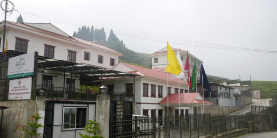 पर्यटकीय क्षेत्र कन्याममा कन्याम वृक्षालय सञ्चालनमा, चिया पर्यटन प्रवर्द्धन गर्दै पर्यटकको बसाइ लम्ब्याउने लक्ष्य
