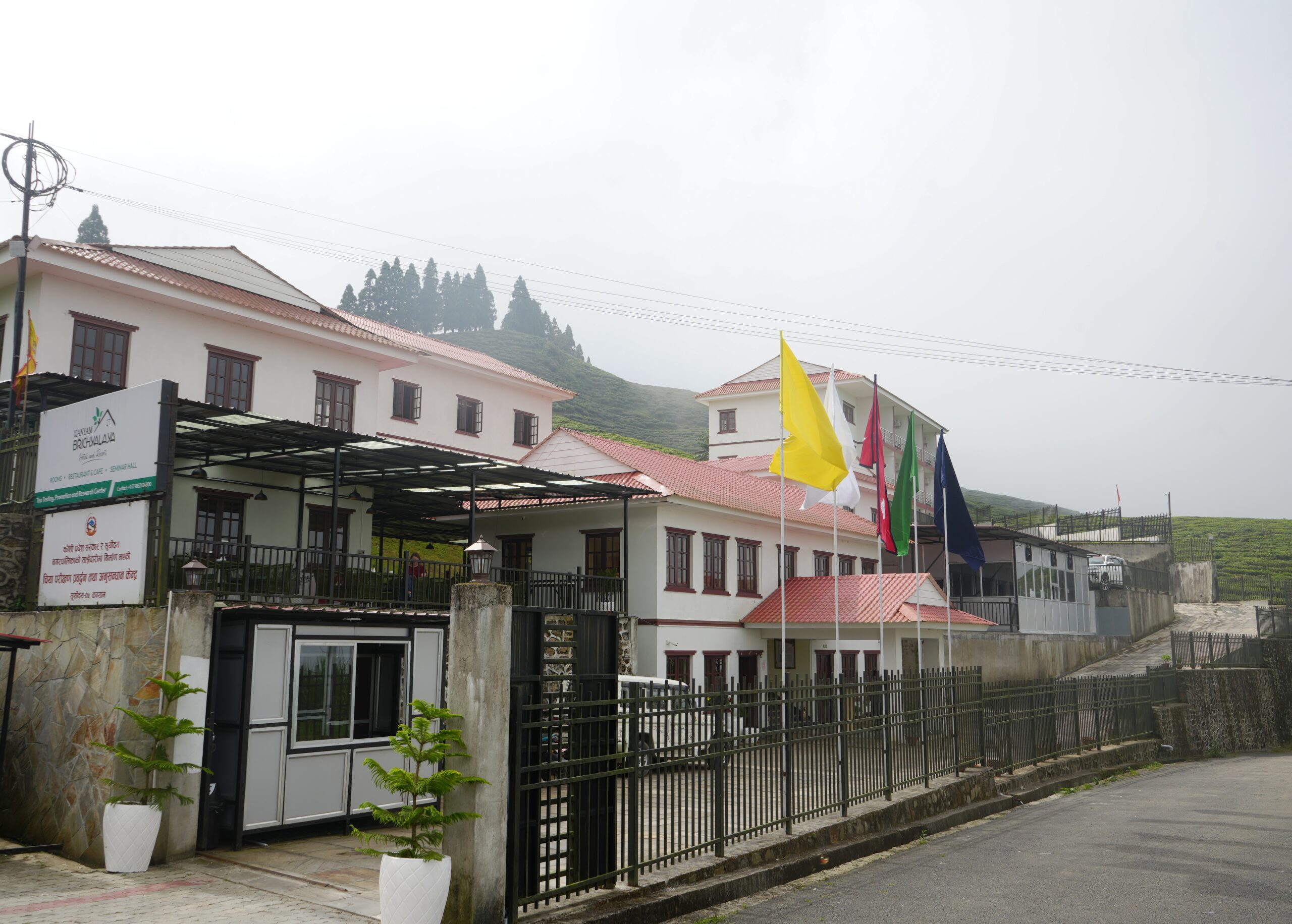 पर्यटकीय क्षेत्र कन्याममा कन्याम वृक्षालय सञ्चालनमा, चिया पर्यटन प्रवर्द्धन गर्दै पर्यटकको बसाइ लम्ब्याउने लक्ष्य