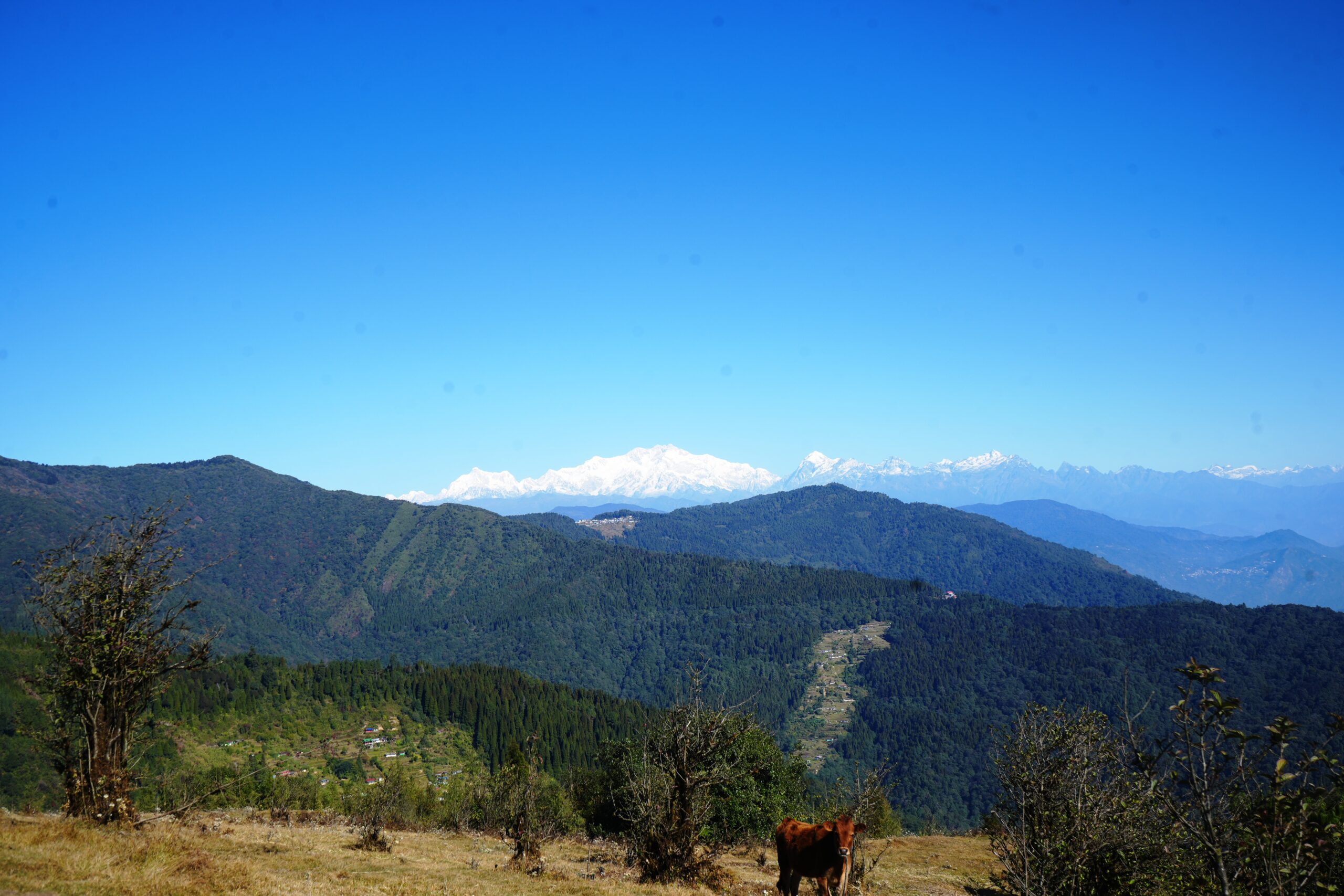 आहा ! इलामको चित्रेबाट देखिएको हिमाल (तस्बिरहरु) 