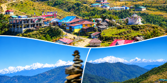 आहा ! इलामको जौबारी (तस्बिरहरु)